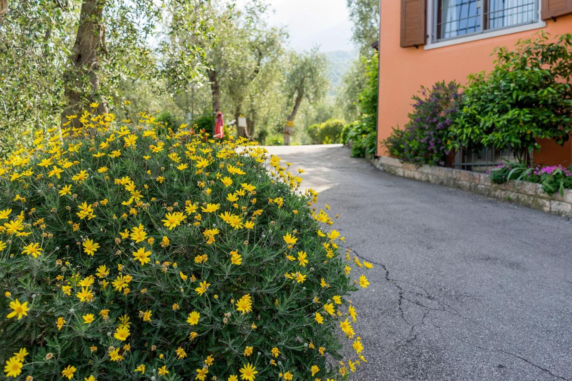 Monja Village Brenzone sul Garda Exterior photo