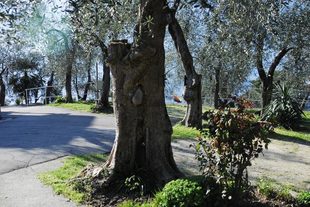 Monja Village Brenzone sul Garda Exterior photo